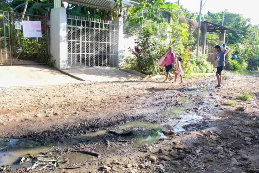 96fd854a-3fbc-4bc7-a2f7-298c3c19d317