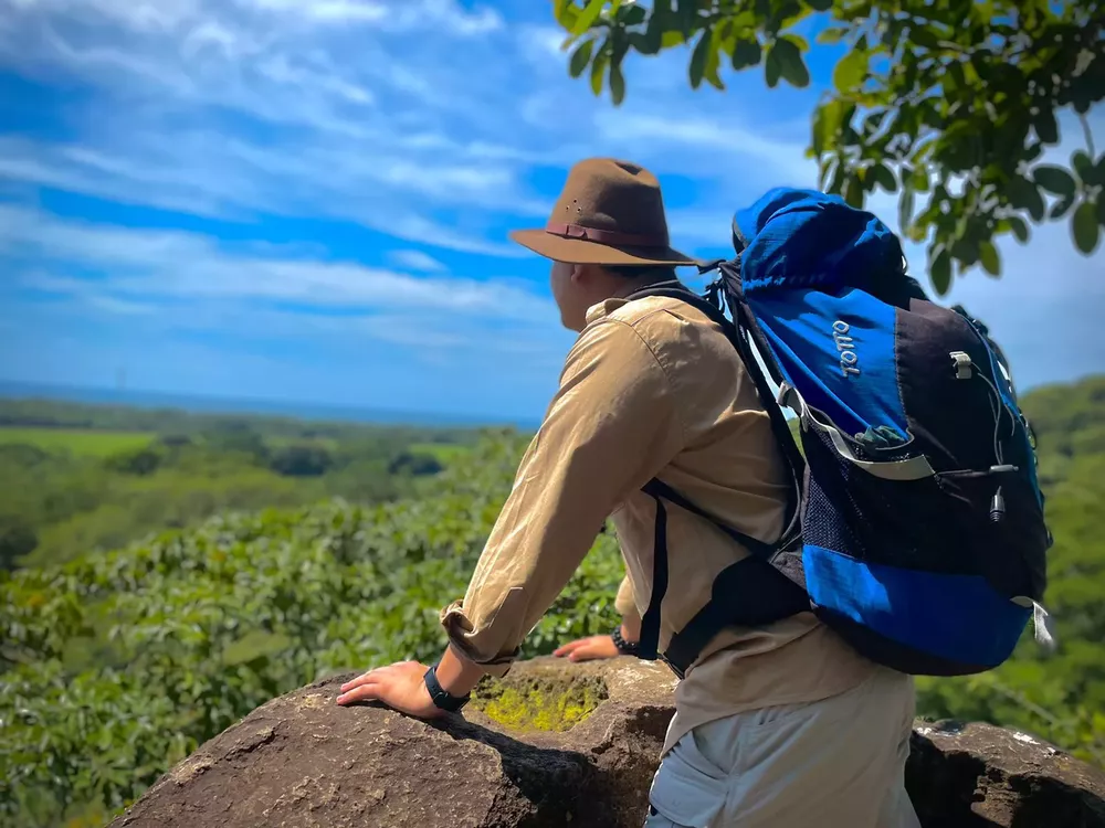 Walter Thilo Deininger - WTD - Varias 1 - 14