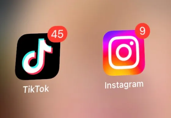 66