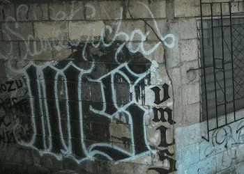 dsfdasfasf