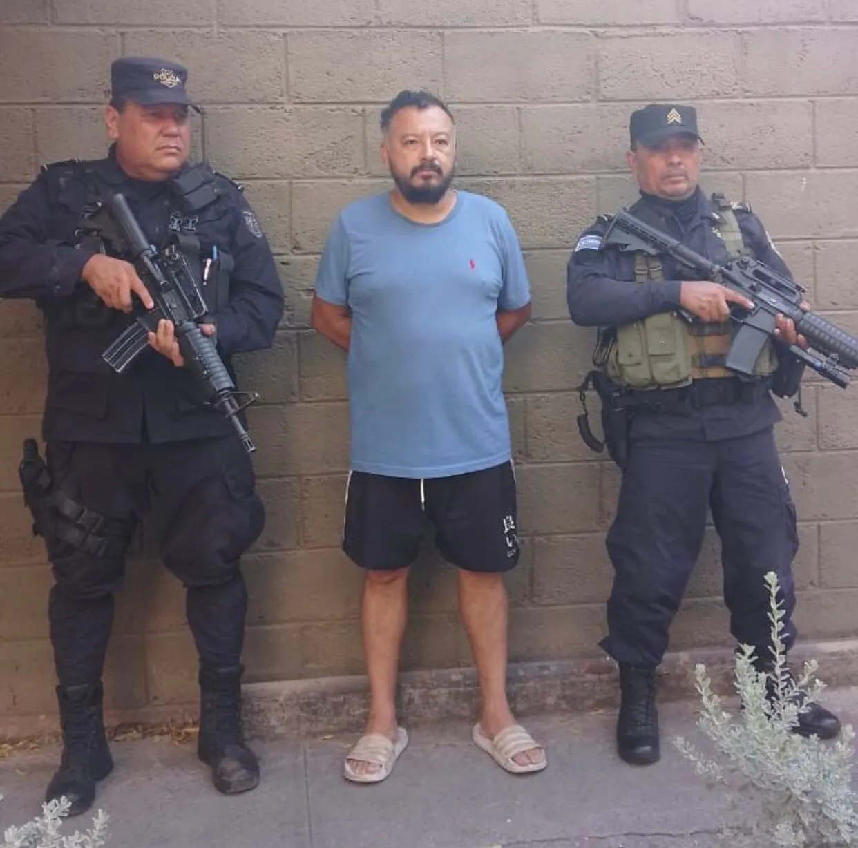 WhatsApp Image 2024-04-26 at 12.18.11 PM