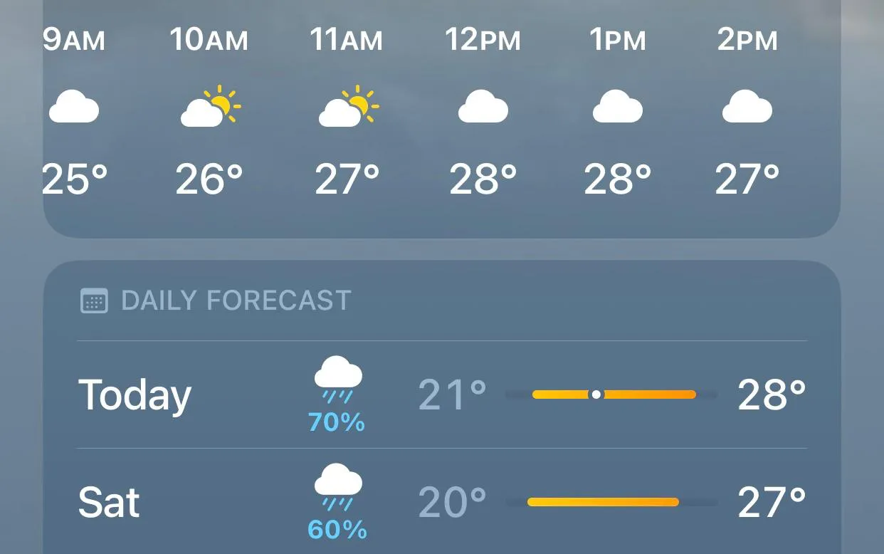 WhatsApp Image 2024-07-05 at 7.45.20 AM