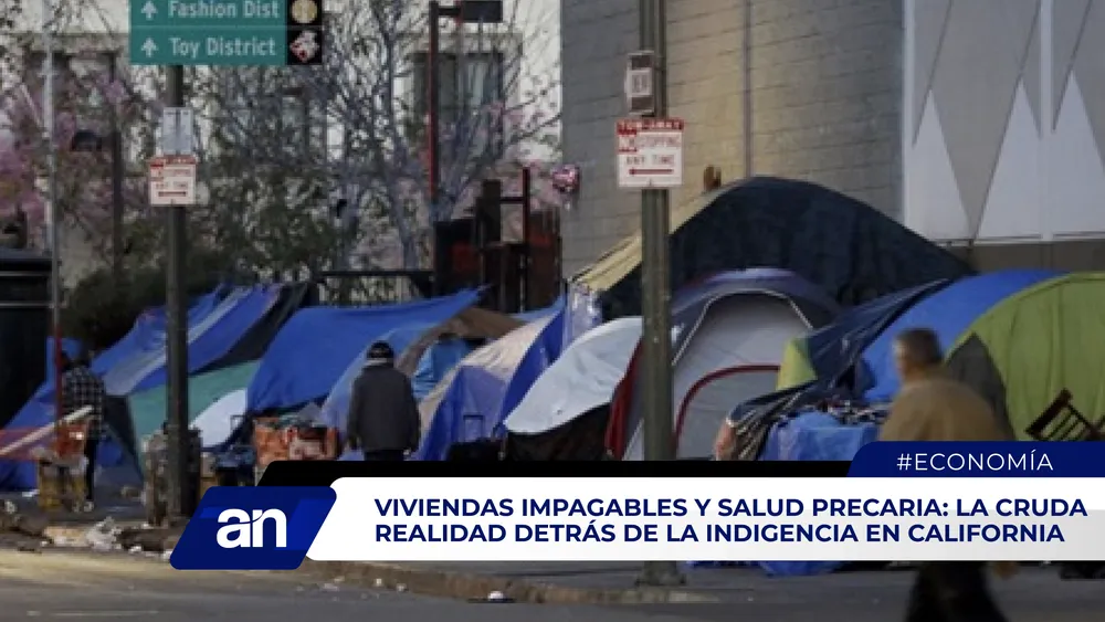 AN Formato_Mesa de trabajo 1 copia