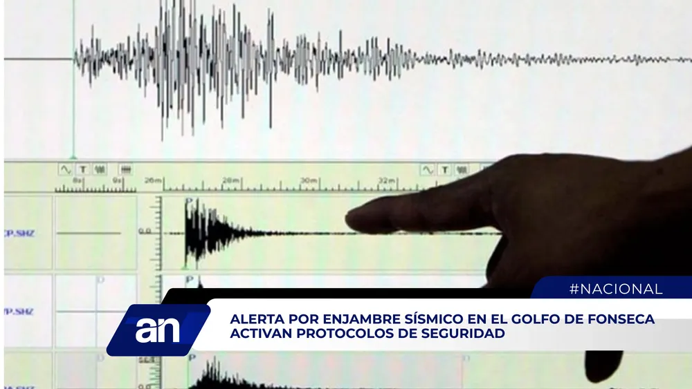 NACIONAL 2_Mesa de trabajo 1 copia 5