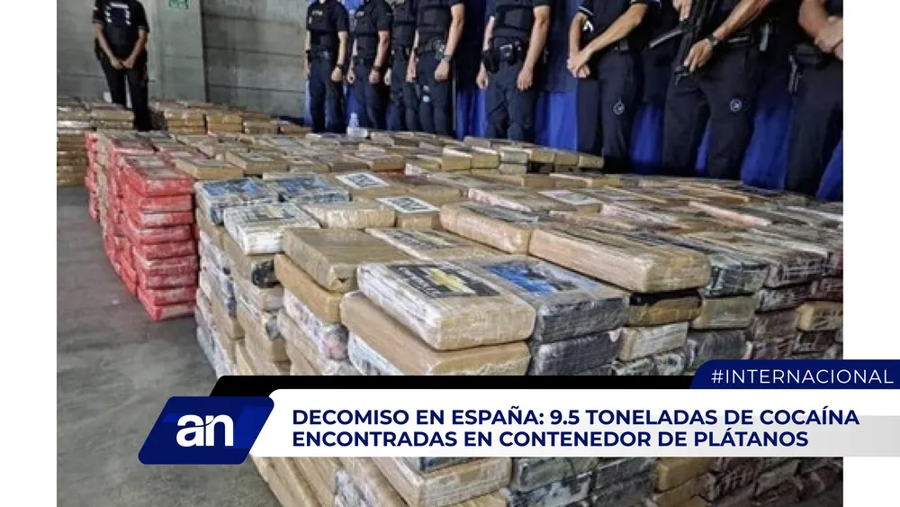 AN Formato 02_Mesa de trabajo 1 copia 3