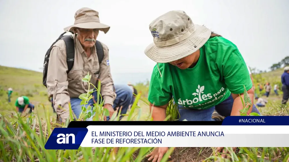 56_Mesa de trabajo 1