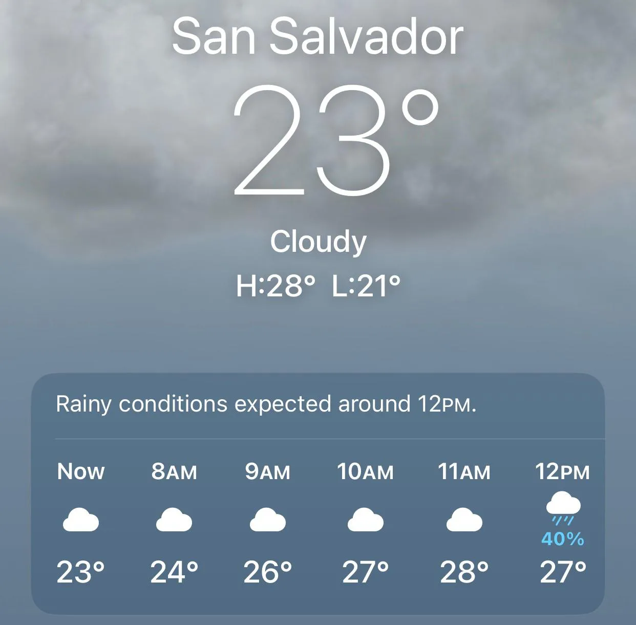 WhatsApp Image 2024-06-13 at 7.30.00 AM