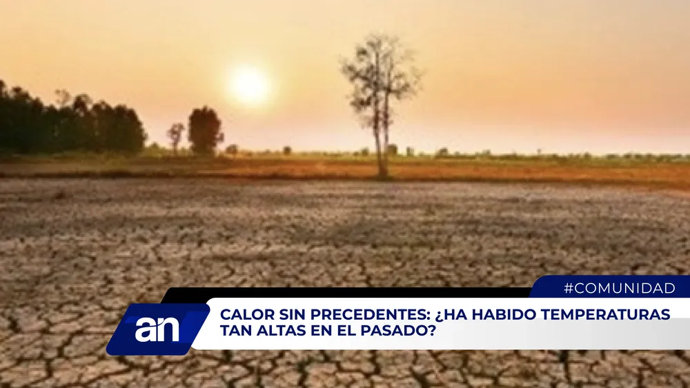 AN Formato_Mesa de trabajo 1 copia