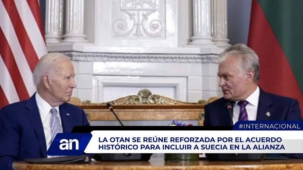 AN_Mesa de trabajo 1 copia 2