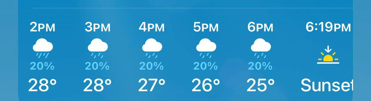 WhatsApp Image 2024-08-13 at 9.03.25 AM