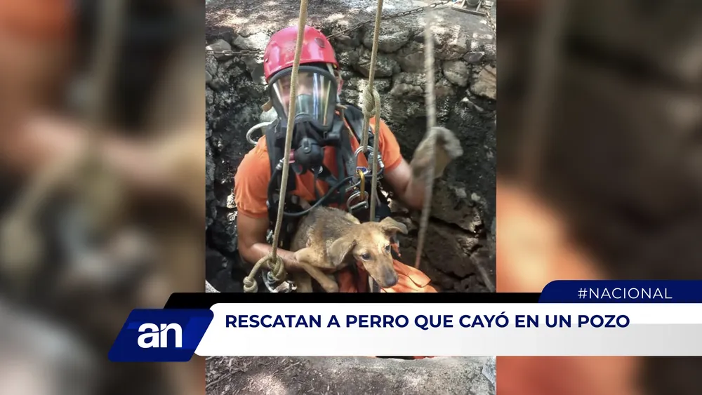 NOTI_Mesa de trabajo 1 copia 3