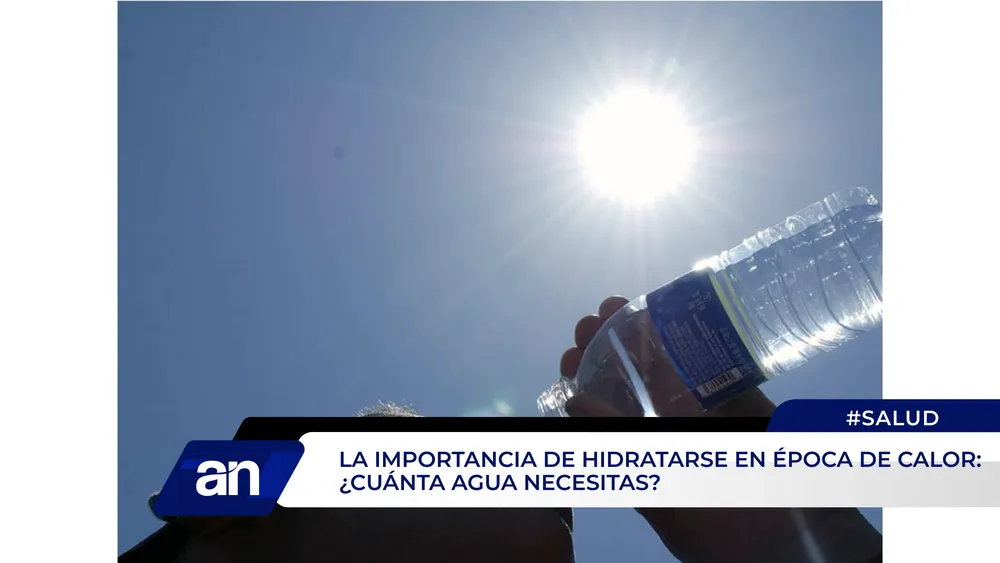 an_Mesa de trabajo 1 copia