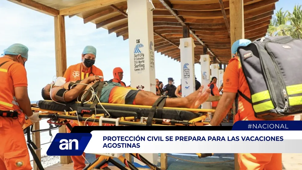 AN Formato_Mesa de trabajo 1 copia 4