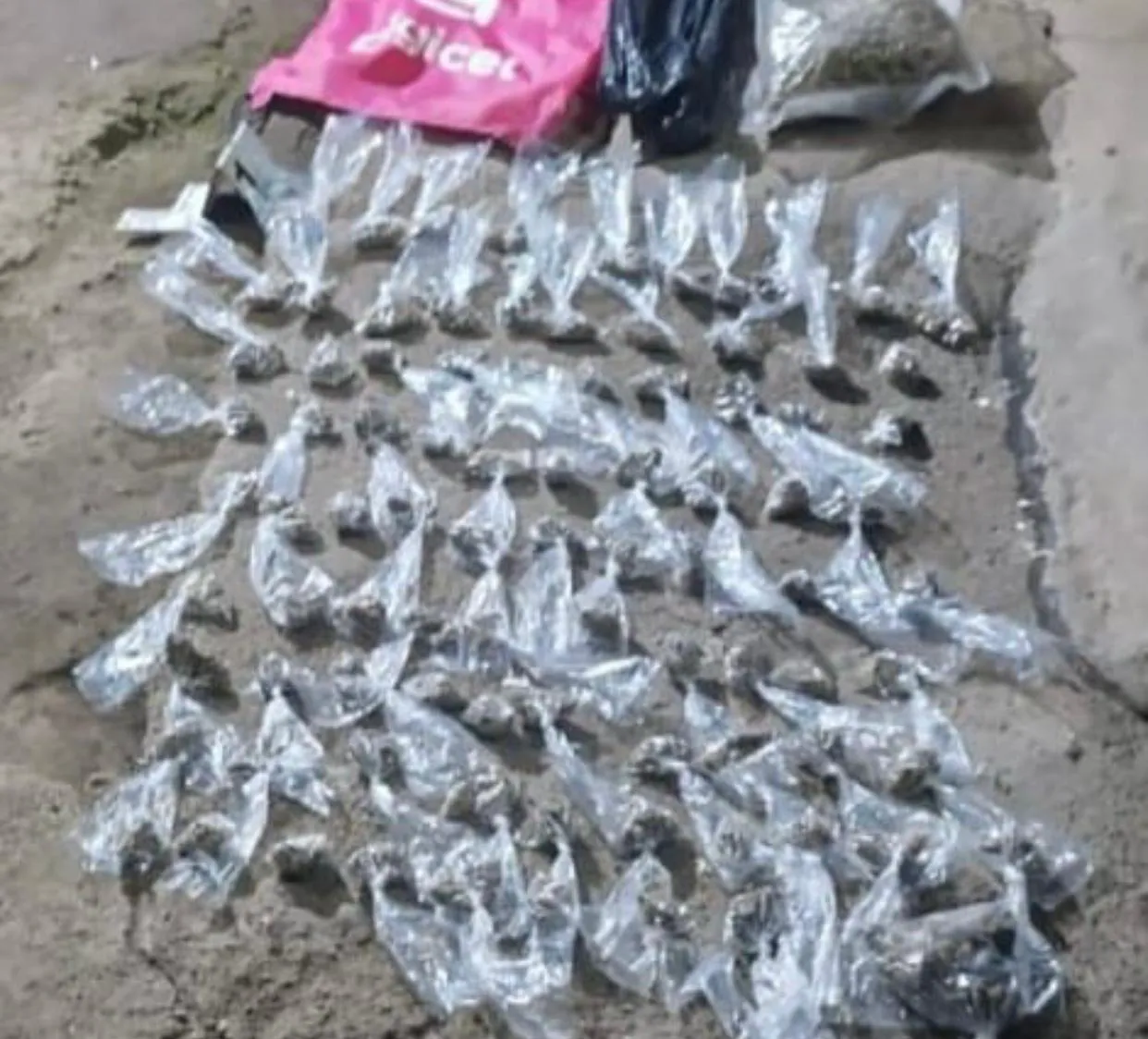 WhatsApp Image 2024-08-14 at 8.42.28 AM