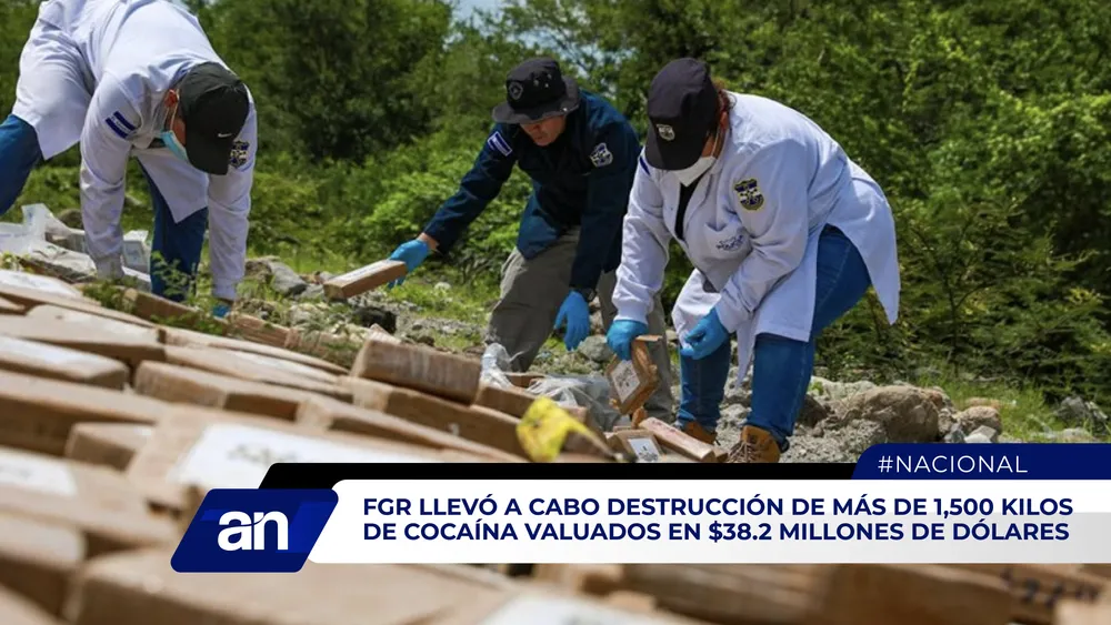 AN Formato 02_Mesa de trabajo 1 (2)