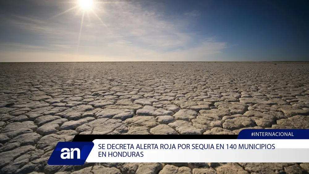 7_Mesa de trabajo 1