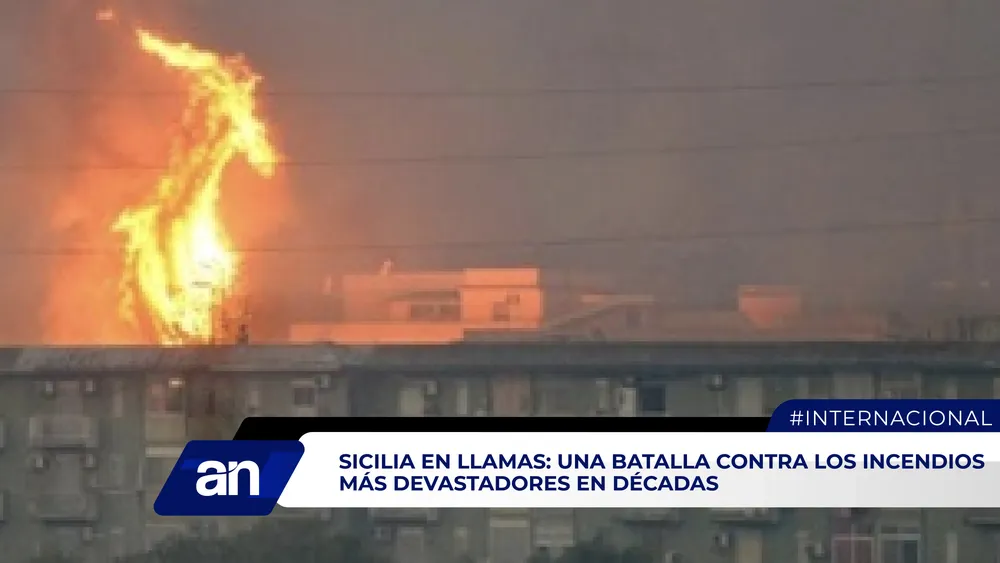 AN_Mesa de trabajo 1 copia