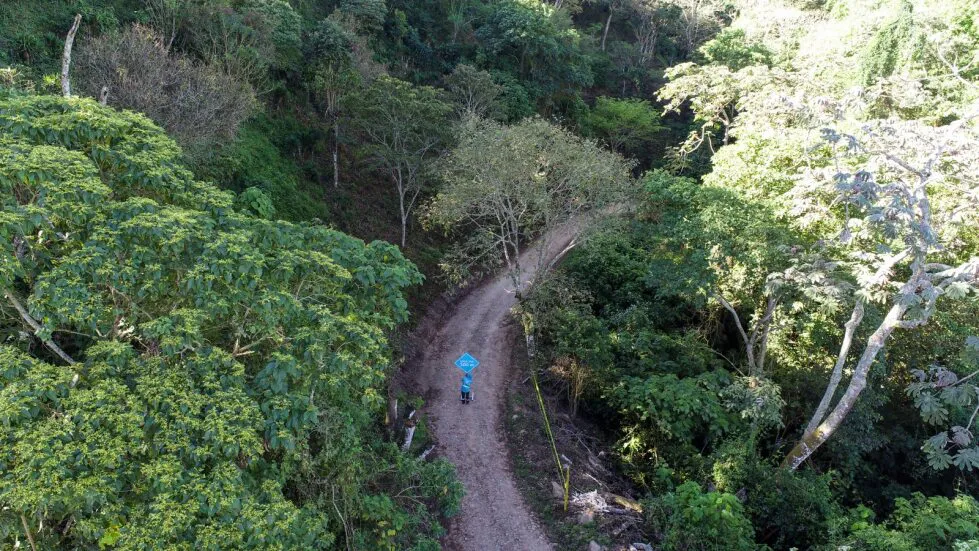 aa
