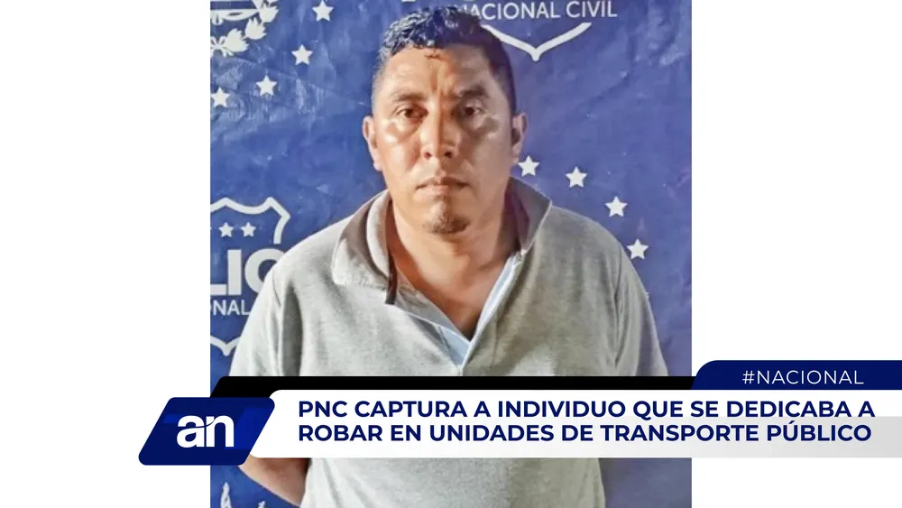 AN Formato 02_Mesa de trabajo 1 copia 5