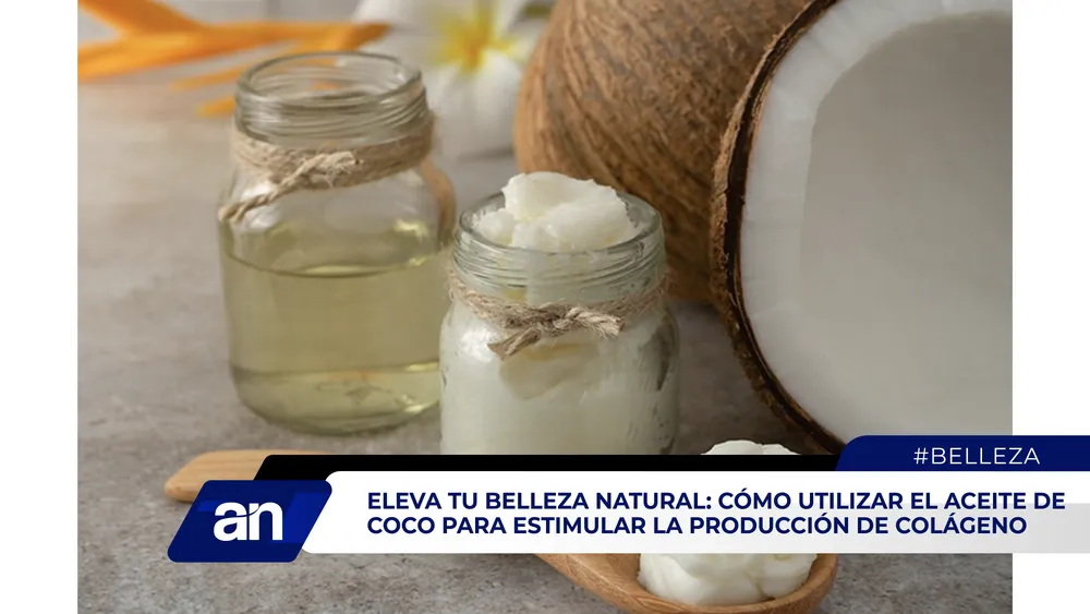 AN Formato 02_Mesa de trabajo 1 copia 4