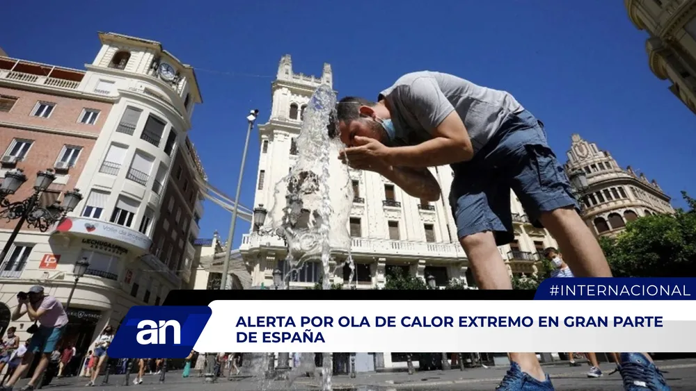 AN_Mesa de trabajo 1 copia 3