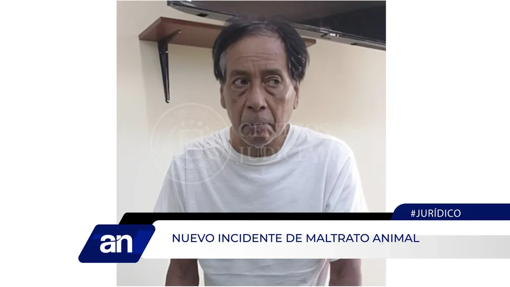 noticia_Mesa de trabajo 1 copia 3