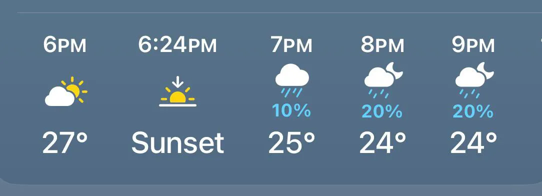 WhatsApp Image 2024-07-31 at 8.27.05 AM