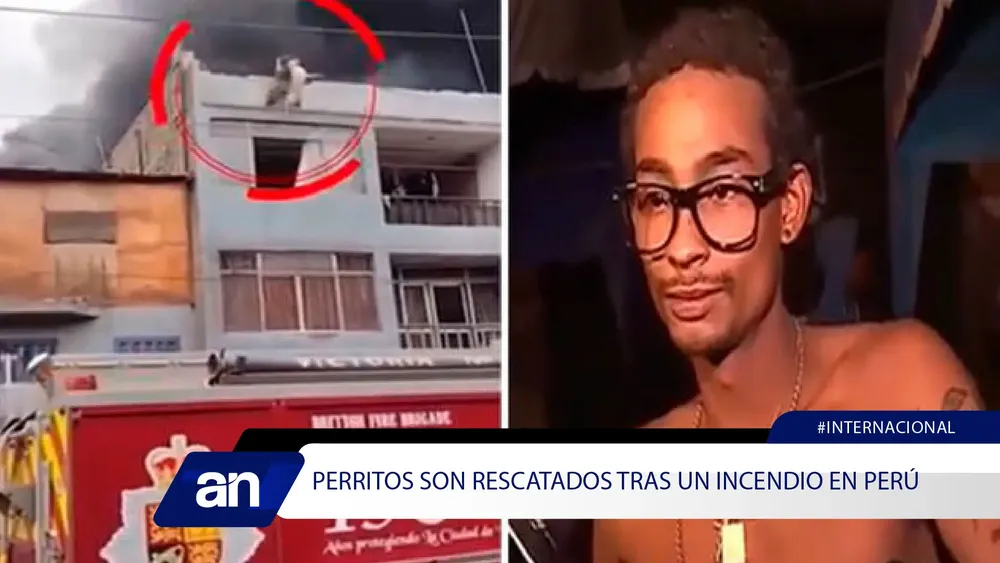 fgf_Mesa de trabajo 1