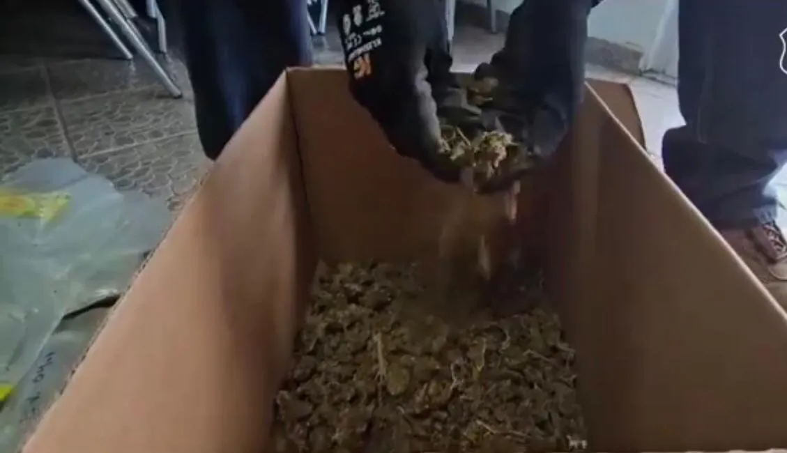 WhatsApp Image 2024-04-24 at 5.38.07 PM