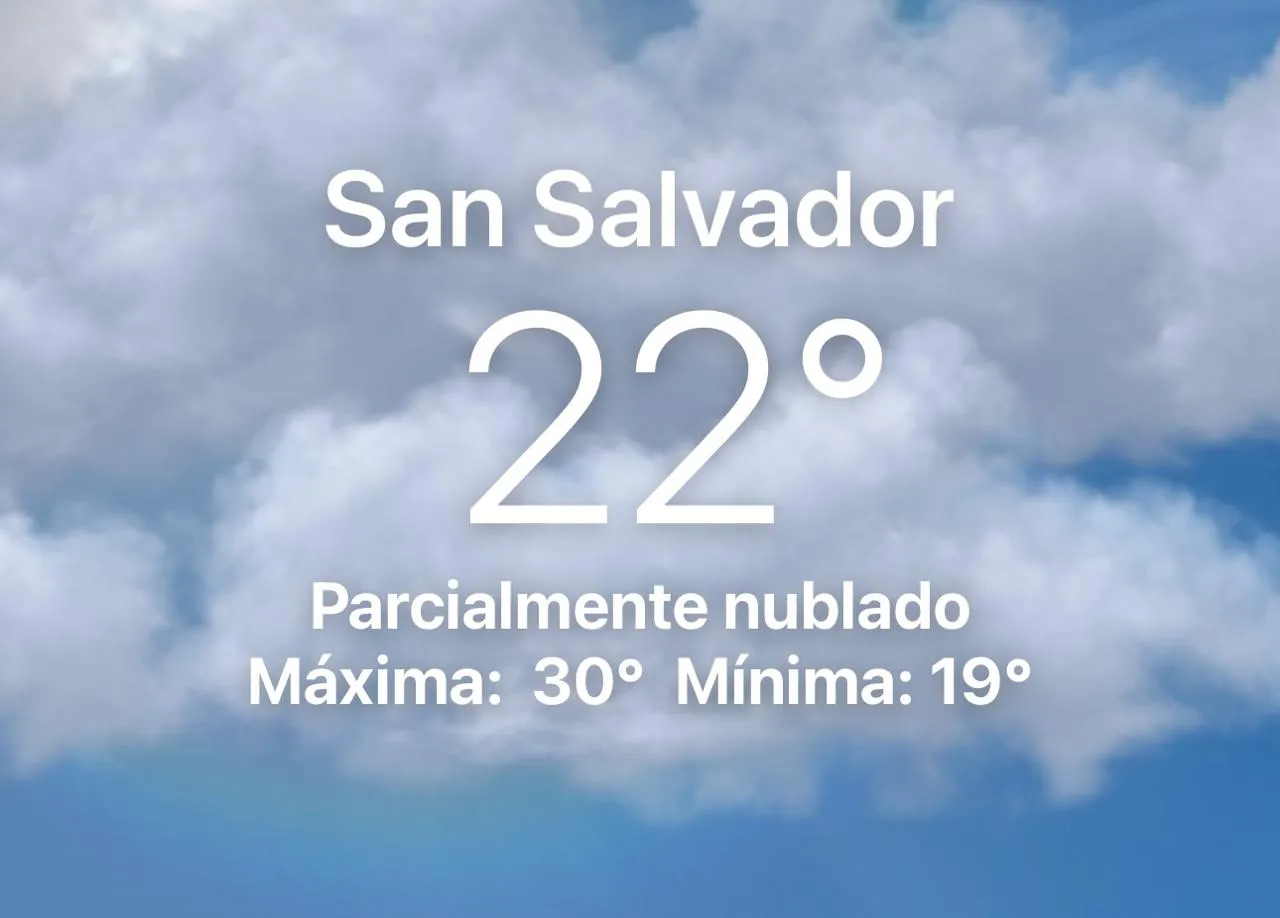 WhatsApp Image 2024-11-29 at 8.07.27 AM