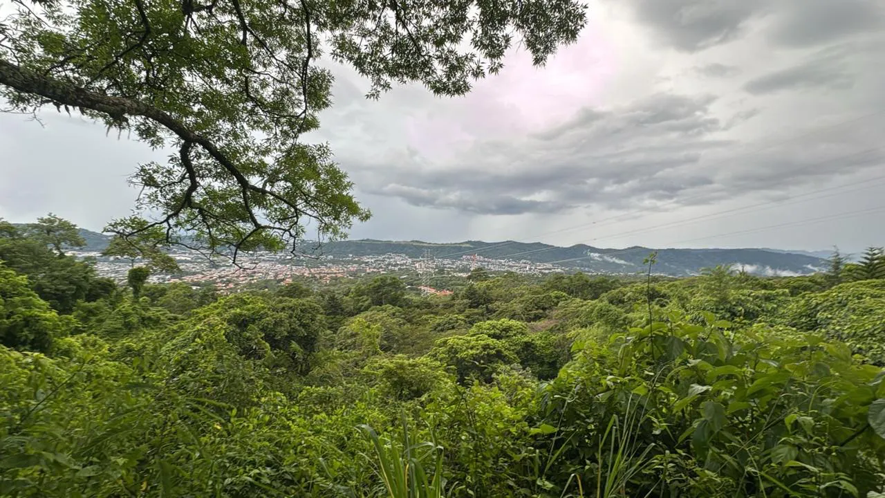 paseo