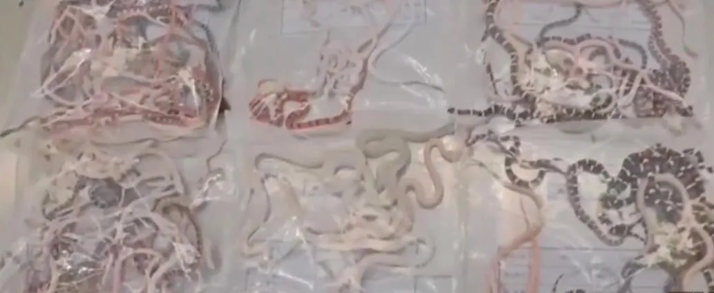 WhatsApp Image 2024-07-12 at 7.42.02 AM