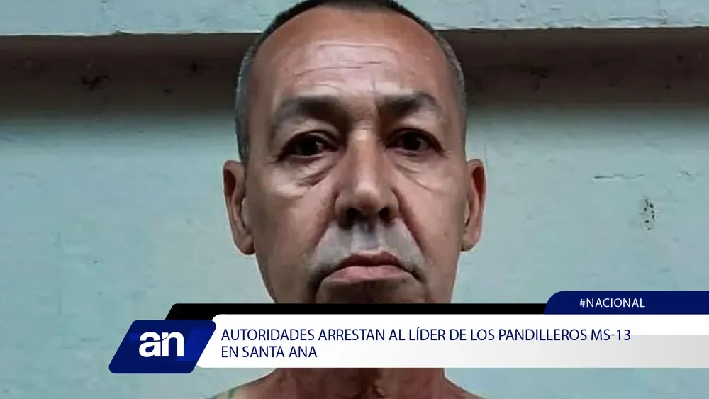 pl_Mesa de trabajo 1