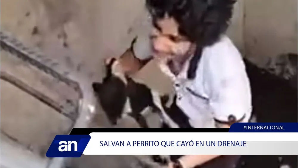 NVC_Mesa de trabajo 1