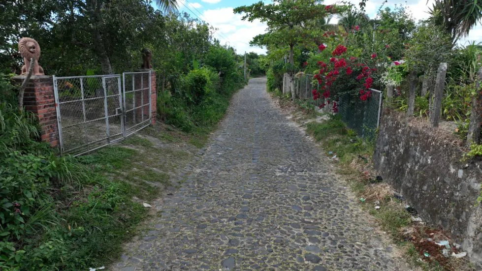 9afd93c5-8126-4ffc-85c4-220e957b295f