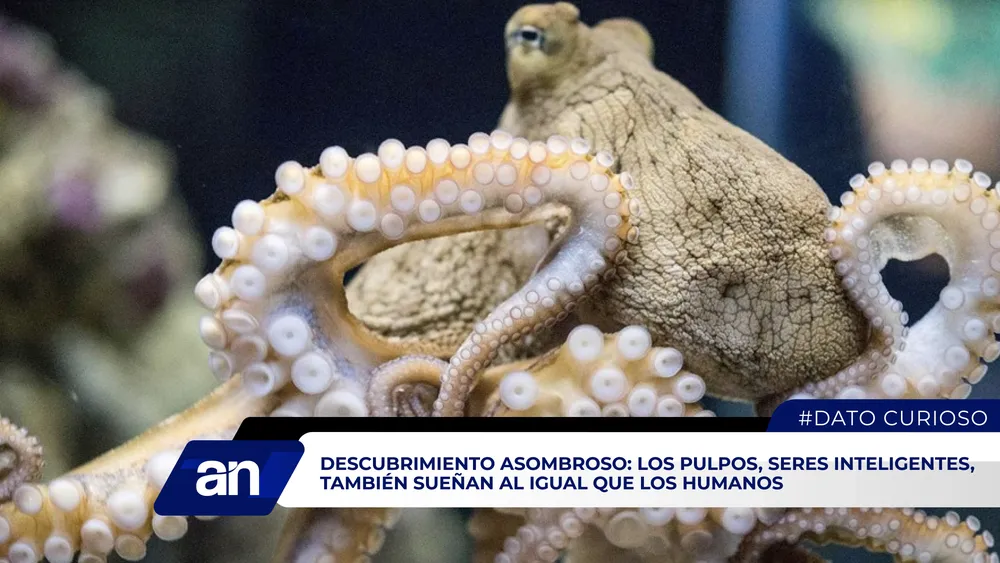 noticias4