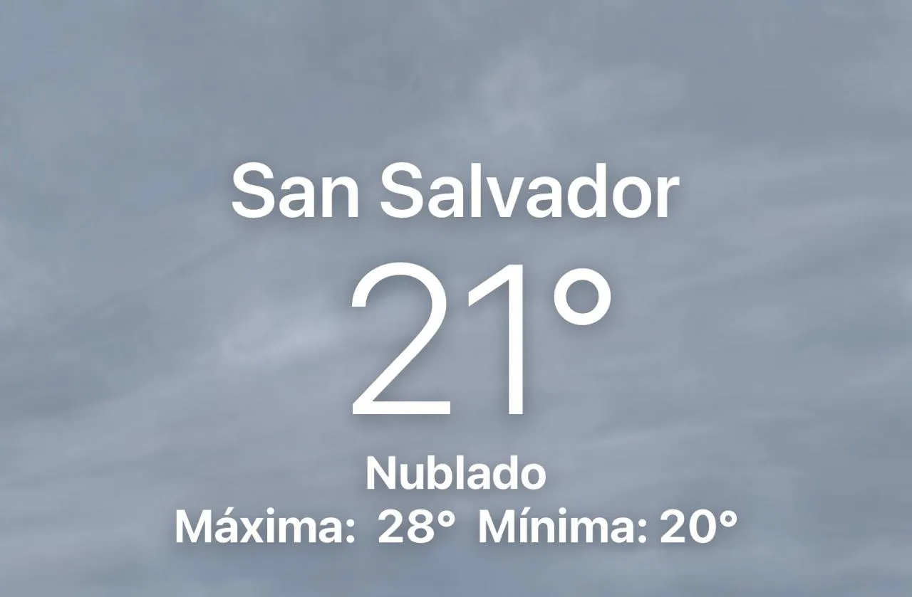 WhatsApp Image 2024-11-04 at 6.22.43 AM