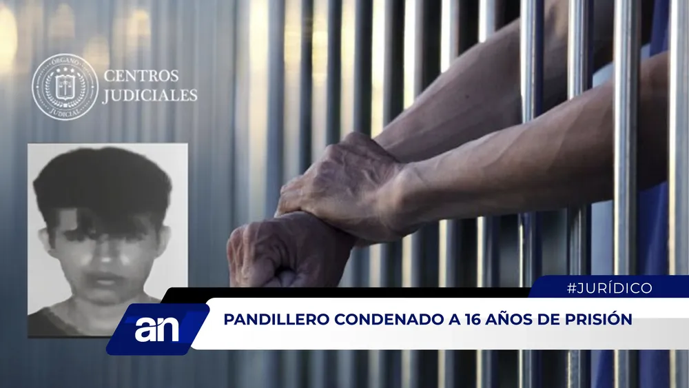 an_Mesa de trabajo 1 copia 3