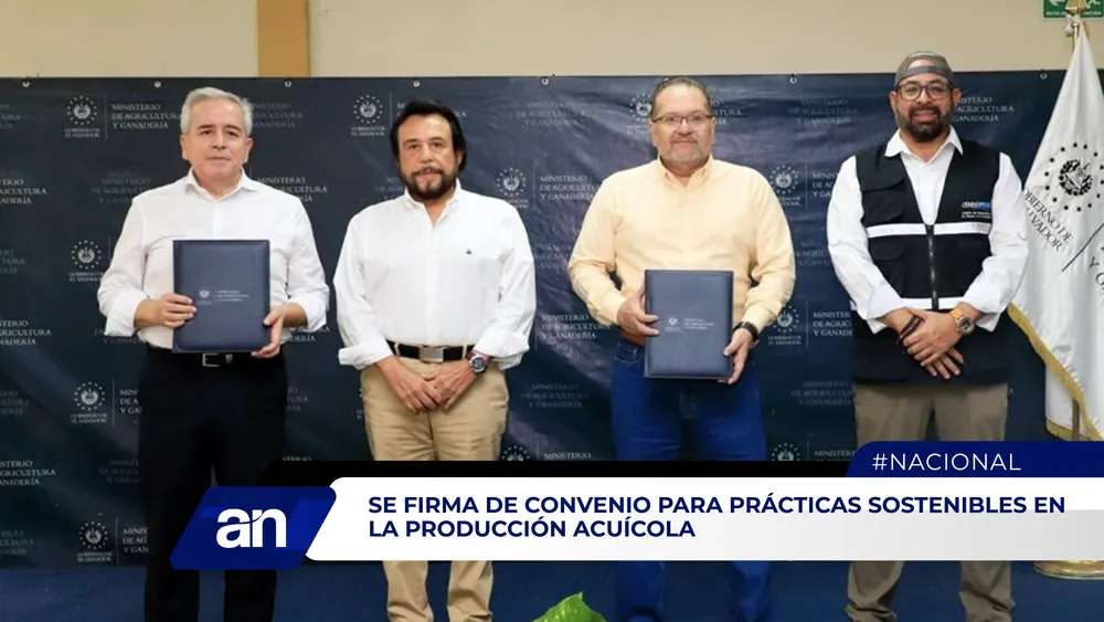 AN Formato 02_Mesa de trabajo 1 copia 3 (1)