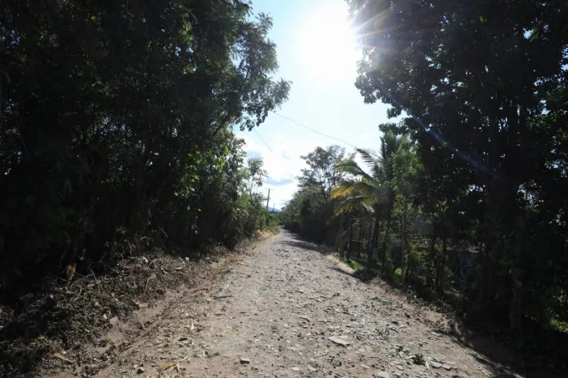 3edcc722-3741-4395-987e-258d3616d7c0