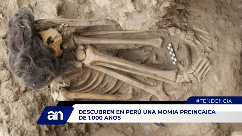 AN Formato 02_Mesa de trabajo 1 copia 3_Mesa de trabajo 1 copia 3 (1)