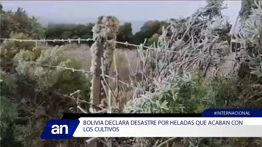 71_Mesa de trabajo 1