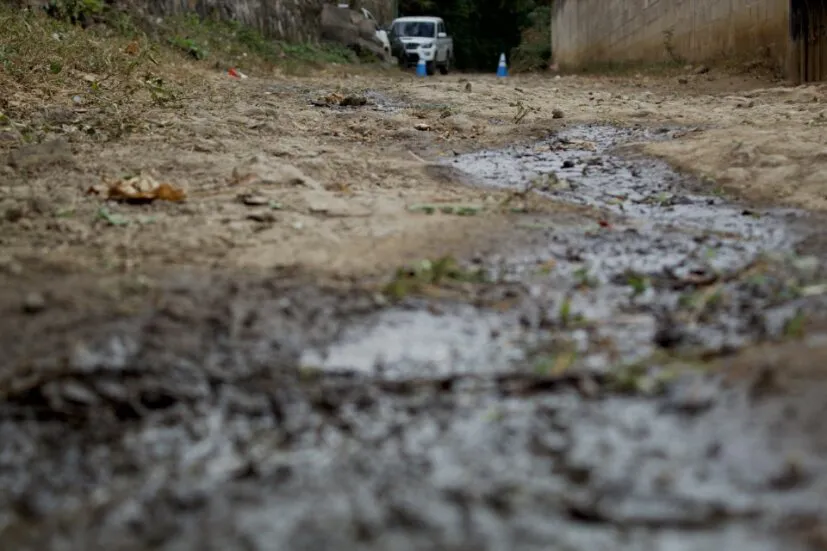 a69a7a50-8e1c-4cf0-b9bd-ea2eac091d98