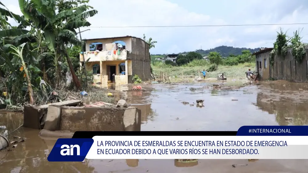 JG_Mesa de trabajo 1