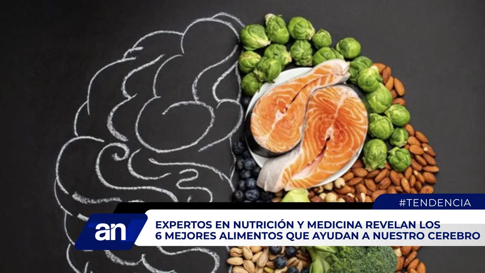 AN_Mesa de trabajo 1 copia 3