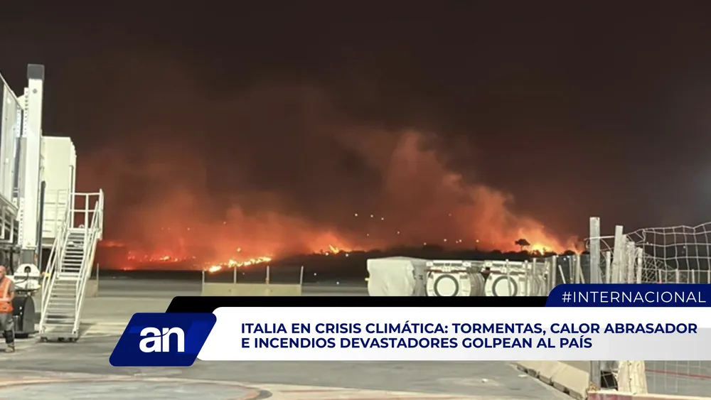 an_Mesa de trabajo 1 copia