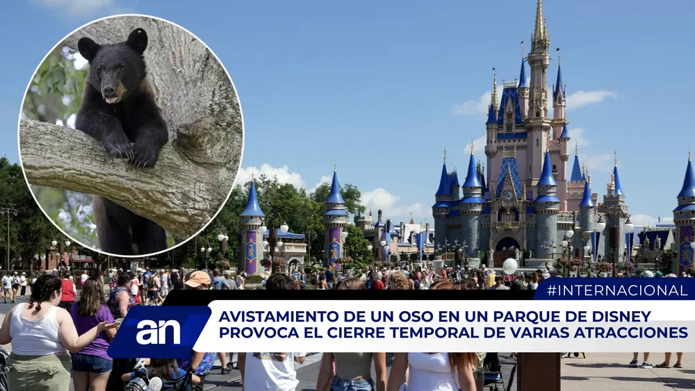 AN Formato 02_Mesa de trabajo 1 copia (1)