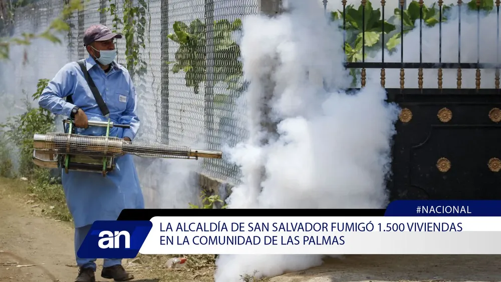 2t_Mesa de trabajo 1