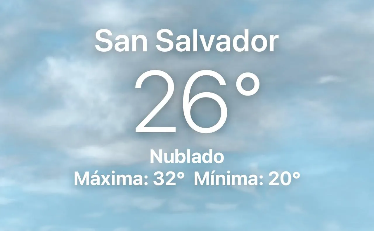 WhatsApp Image 2025-01-31 at 9.03.45 AM