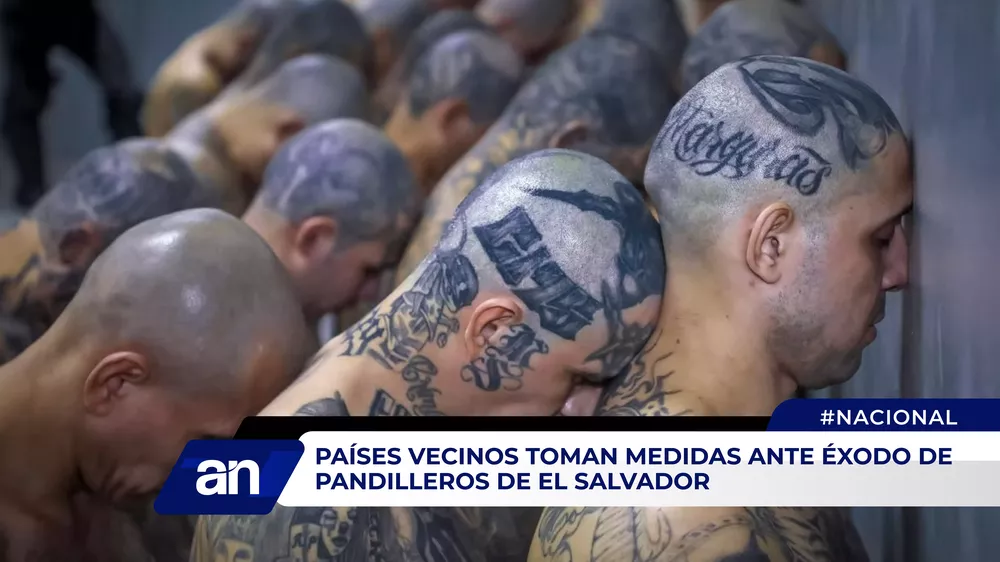 Paises vecino y pandilleros_Mesa de trabajo 1